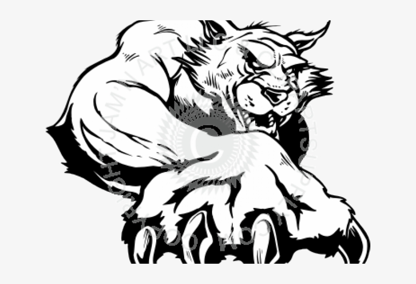 Original - Belleville High School Logo, transparent png download