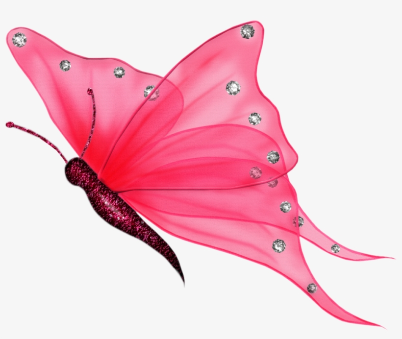 Explore These Ideas And Much More - Transparent Background Butterfly Clipart, transparent png download