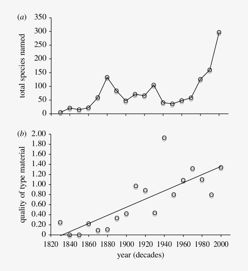 Naming New Dinosaurs - Common Fig, transparent png download