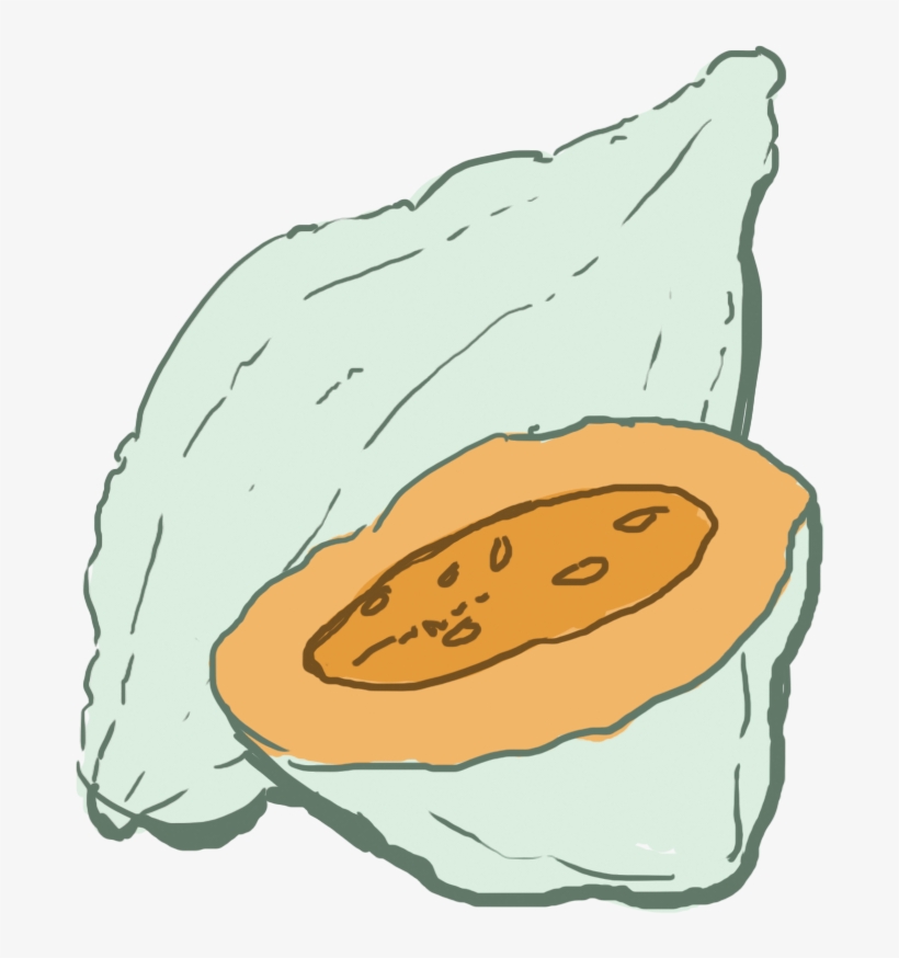 Squash Clipart Winter Squash - Hubbard Squash Clipart, transparent png download