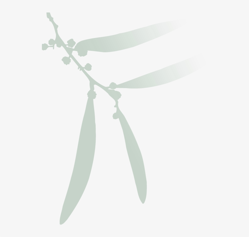 Earrings, transparent png download