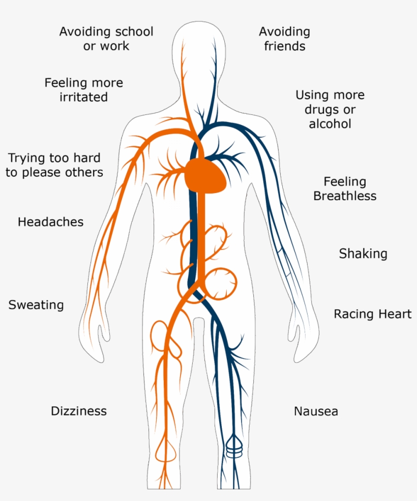 Avoiding School Or Work, Avoiding Friends, Feeling - Mindalin Komplex 26 Pulver, transparent png download