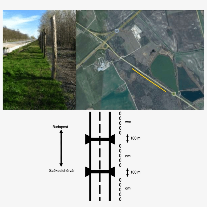 Sampling Sites Along Road No - Road, transparent png download