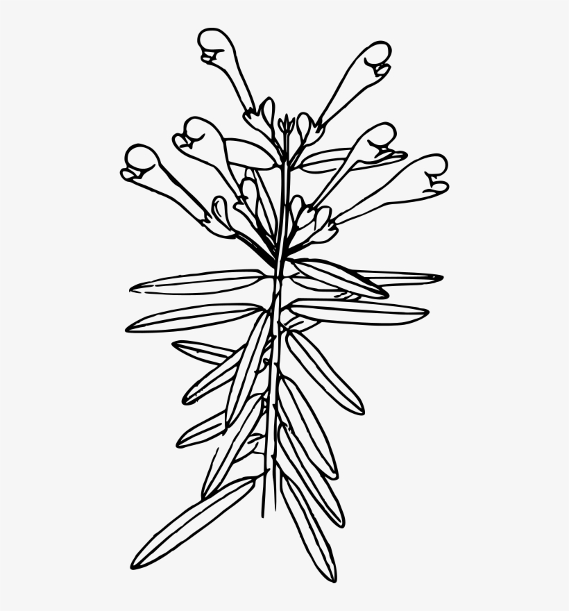 Clip Art Black And White Download Techflourish - Coloring Page, transparent png download