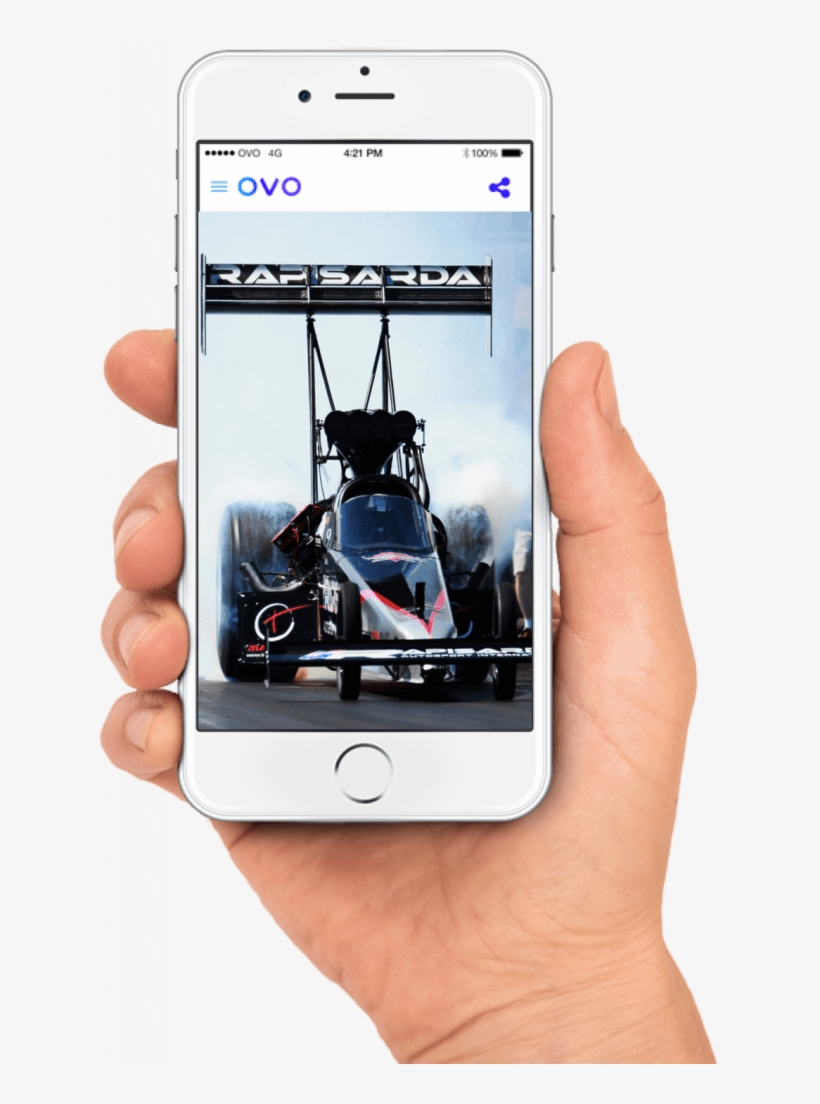 Ovo Is Certainly Making The Headlines At The Moment - Spigen Apple Iphone 5/5s/se Style Armor Case, transparent png download