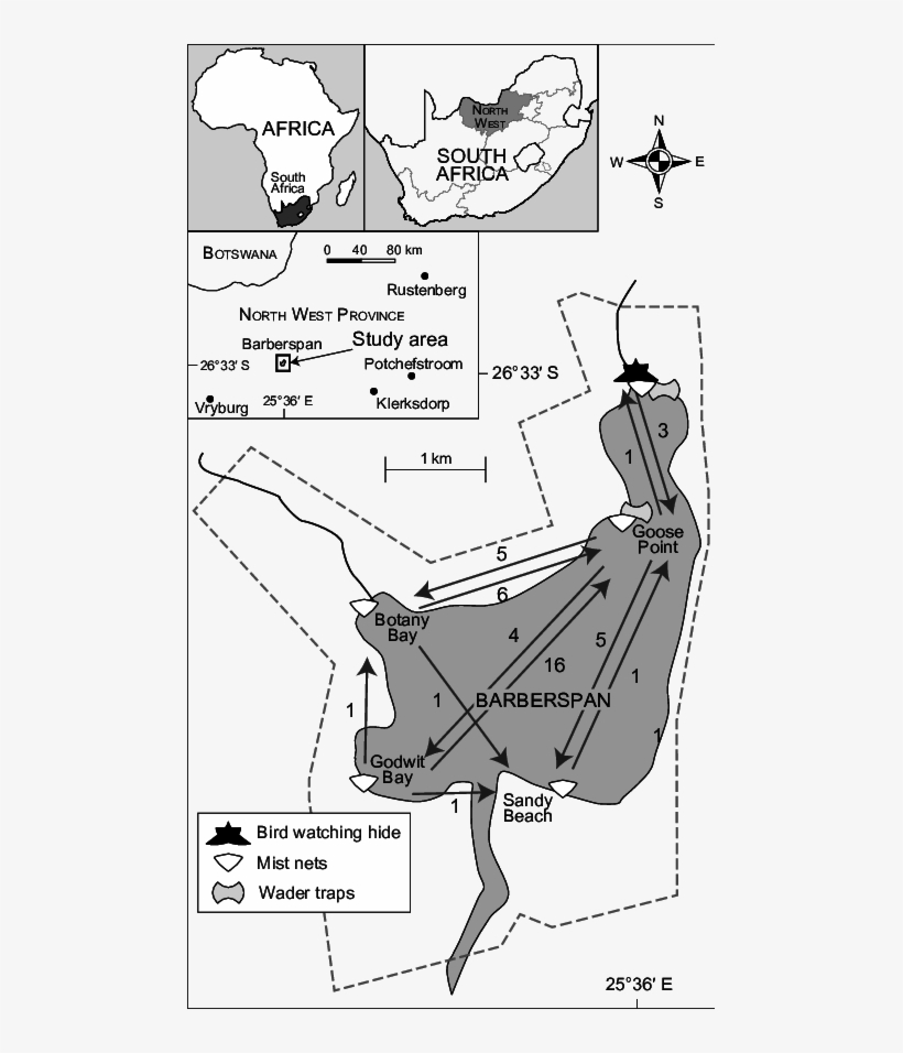 Symbols Show The Location Of Mist Nets And Wader Traps - Barberspan Bird Sanctuary, transparent png download