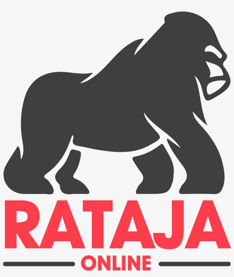 Categories - Product, transparent png download