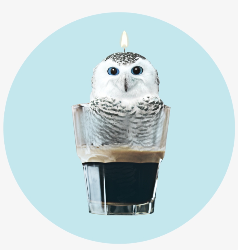 Your Coffee Lights My Fire - Snowy Owl, transparent png download