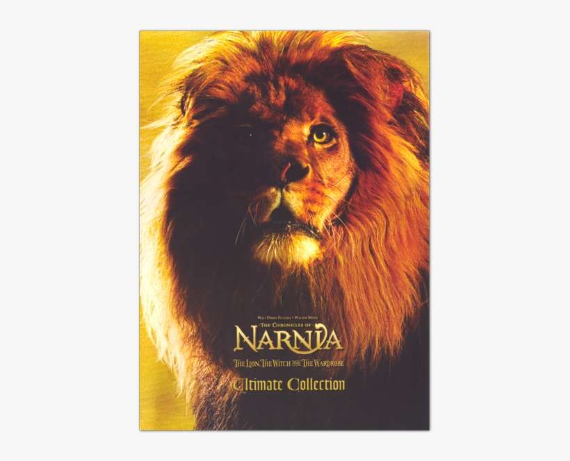 Ultimate Collection - Masai Lion, transparent png download