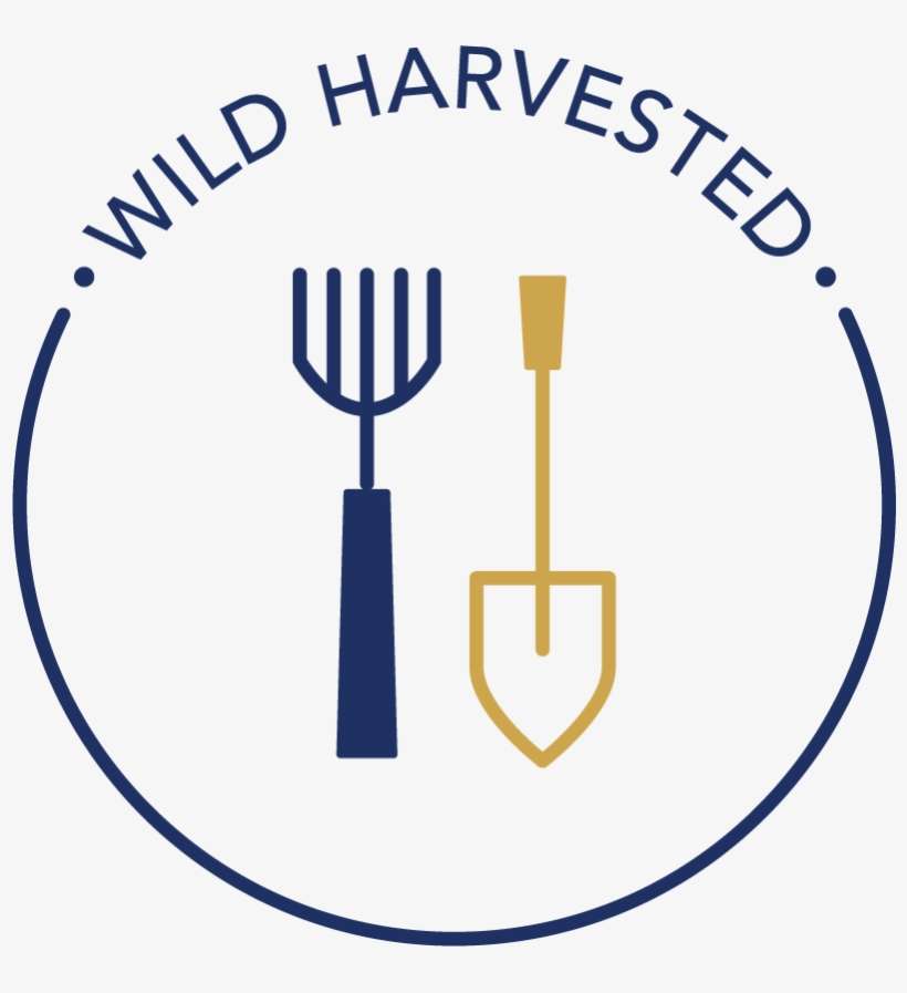 Follow Us - Dnv Iso 14001 Logo, transparent png download