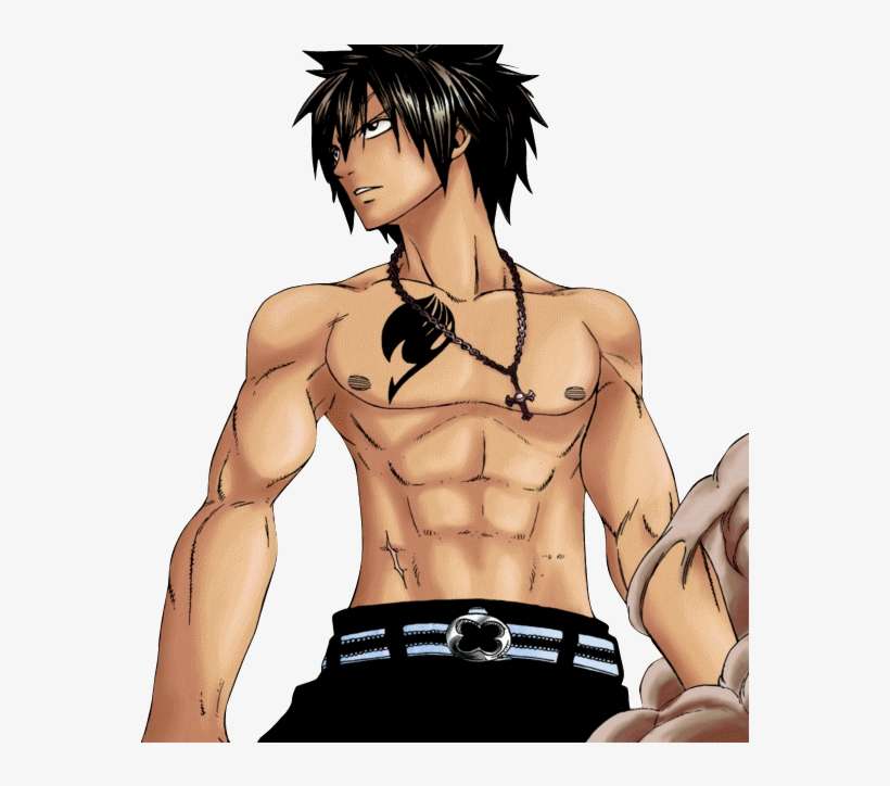 Grey - Grey Fairy Tail, transparent png download