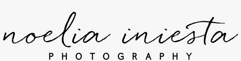 Blog, transparent png download