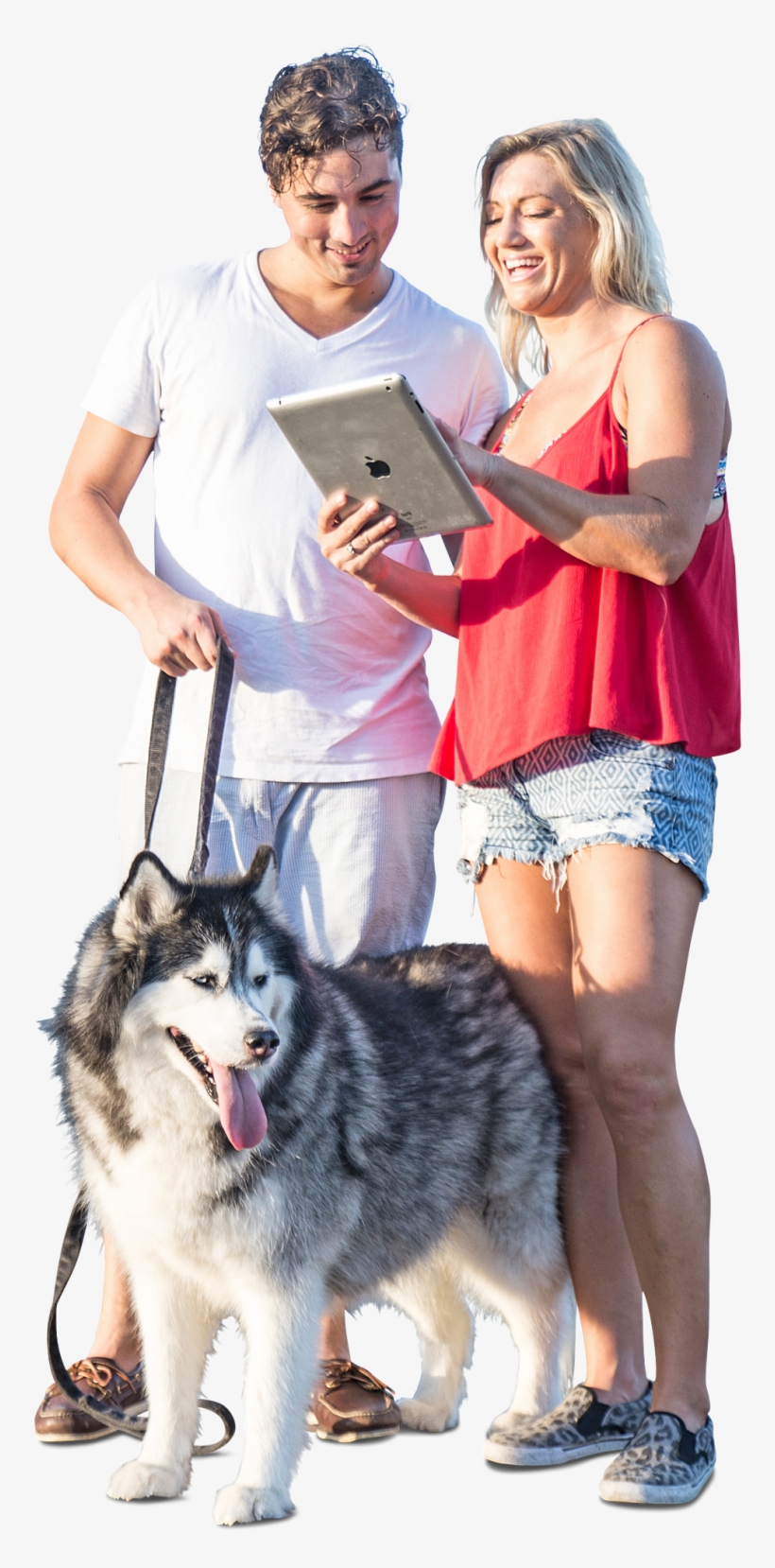 Couple Walking With Huskie Dog - Human, transparent png download