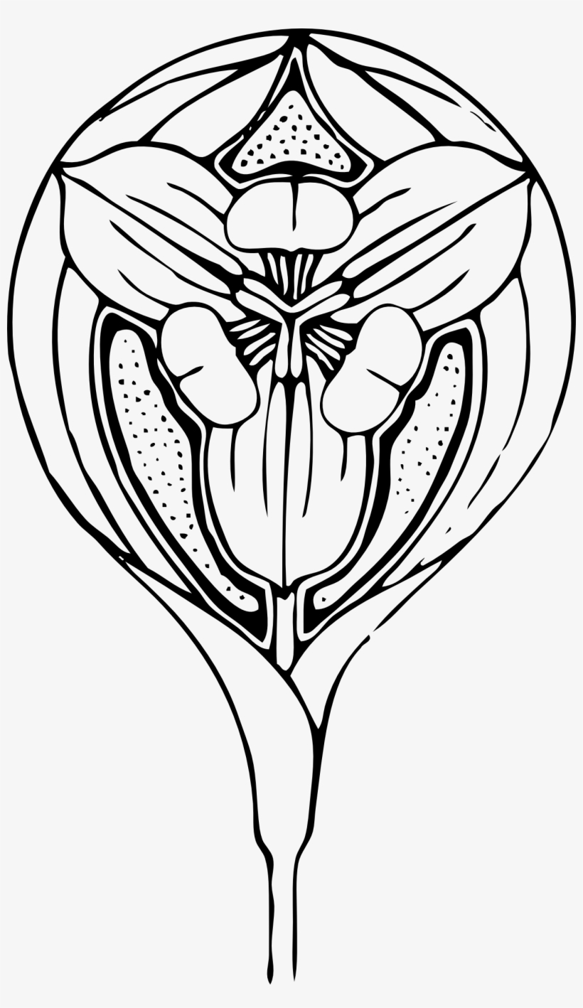 Awesome Outline Tulip Tattoo Design - Flor Art Deco, transparent png download