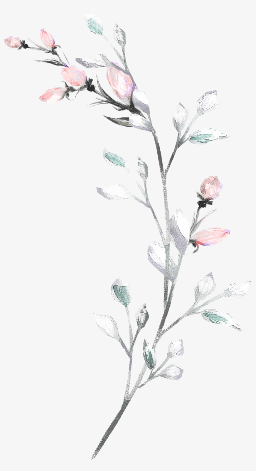 H927 - Flower, transparent png download