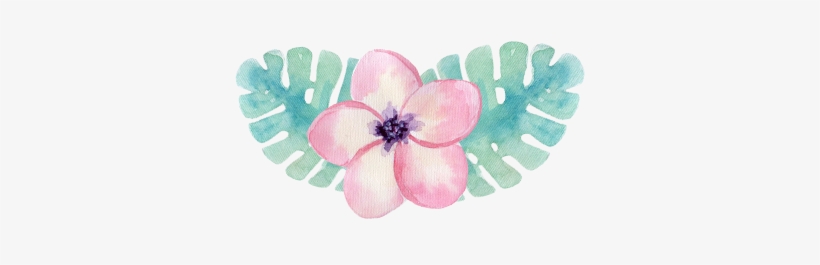 Viewing And Purchase In My Shop - Illustration, transparent png download