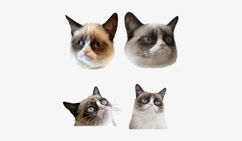 Grumpy Cat Clipart Transparent - Grumpy Cat: A Grumpy Book Ebook, transparent png download