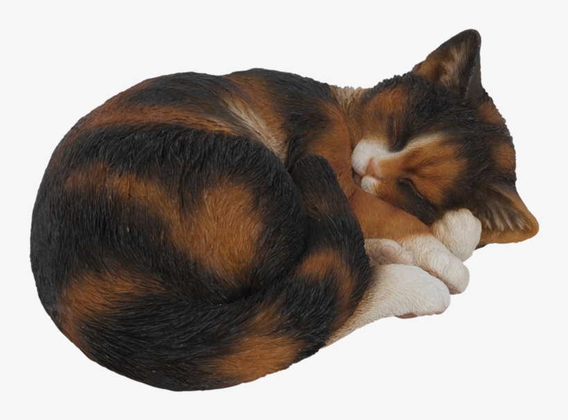cat sleeping png
