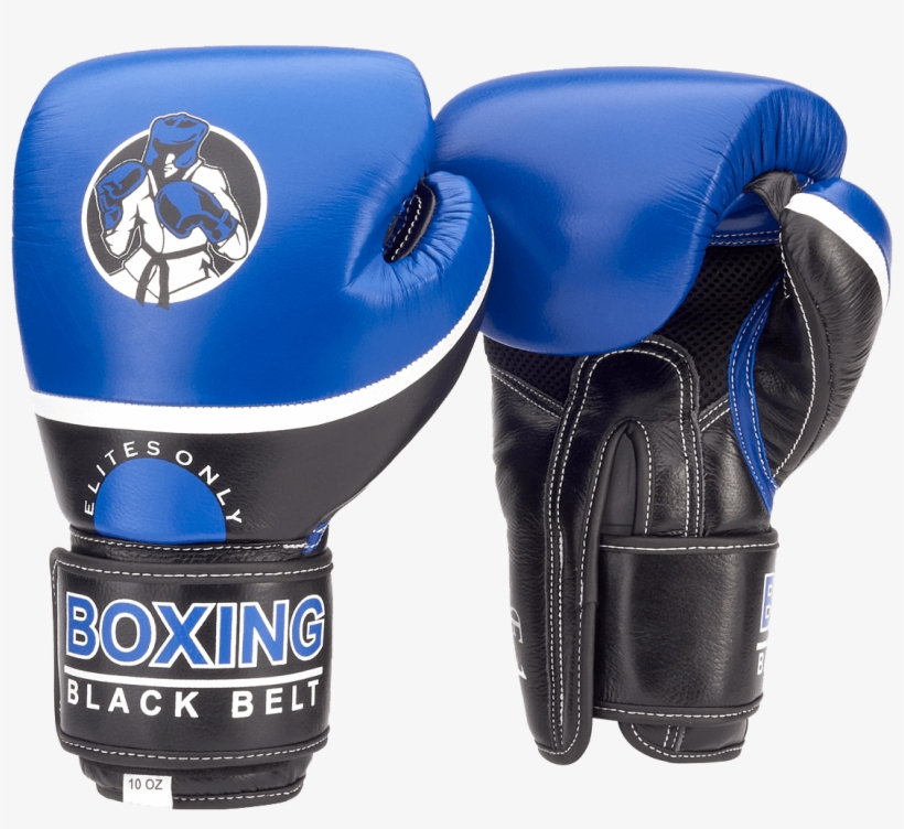 Elite Sparring Gloves - Glove, transparent png download