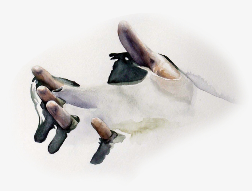 2011 - Pommel Horse, transparent png download