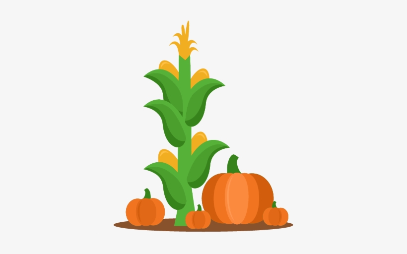 Elegant Corn Stalk Clip Art Cornstalk And Pumpkins - Corn Stalk Clipart, transparent png download