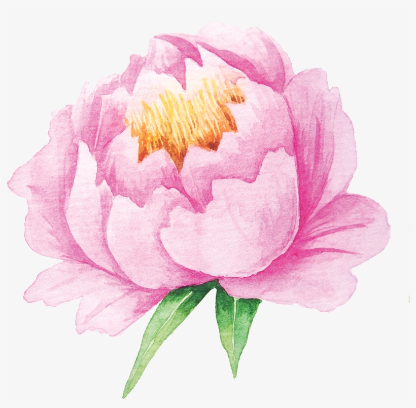 From Creative Market Watercolor Pastel Flowers - Handpainted Water Color Clip Art Peonies Pastel, transparent png download