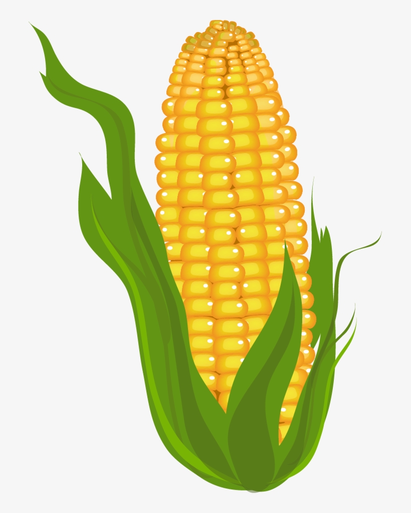 Corn Clip Art Free - Clip Art Of Corn, transparent png download