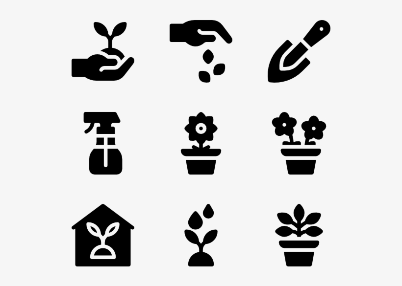 House Plants - Houseplant, transparent png download