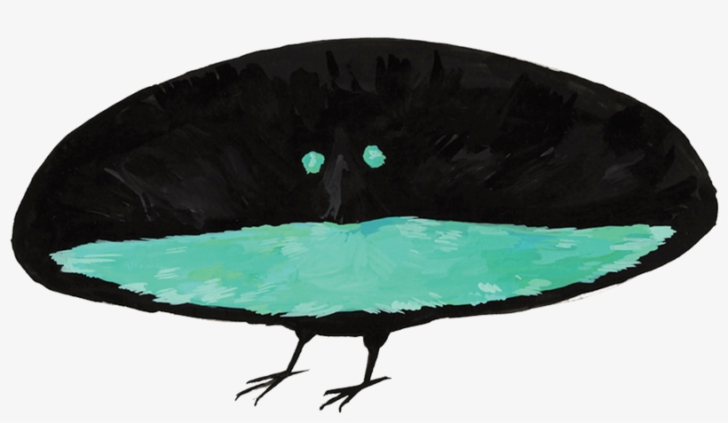 Superb Bird Of Paradise, transparent png download
