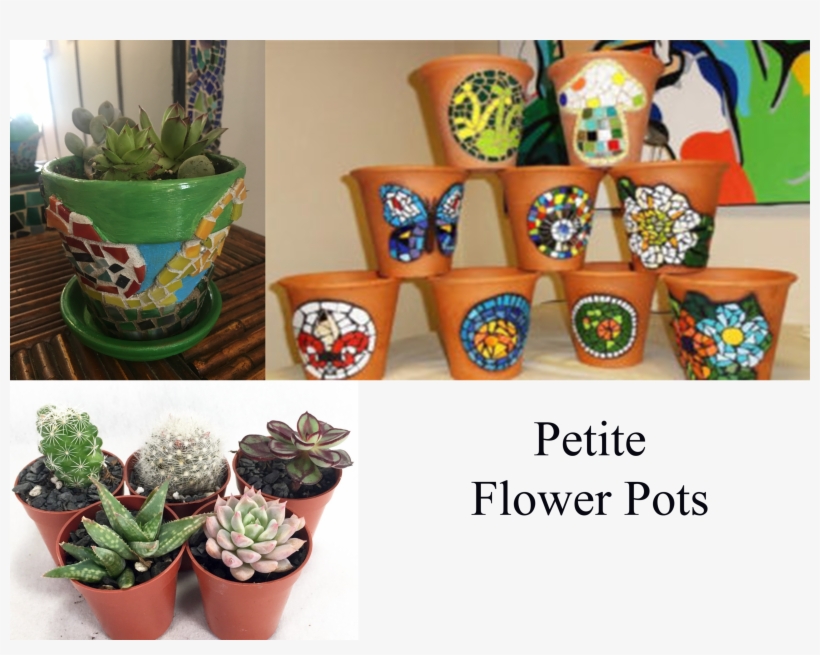 Petite Flower Pot $40 - Houseplant, transparent png download