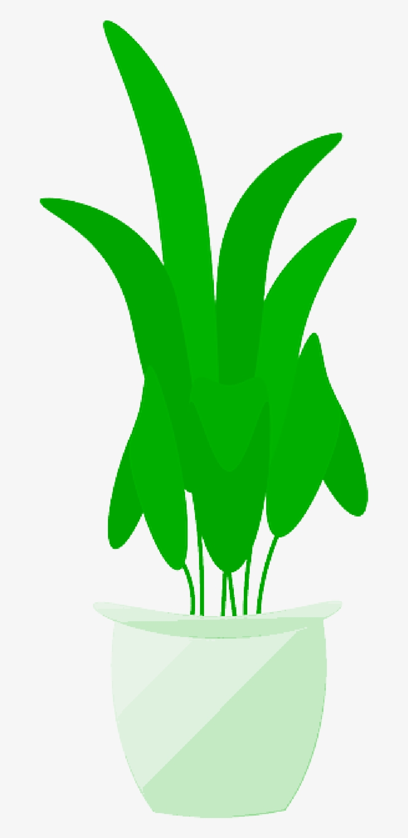 Mb Image/png - Plant In Pot, transparent png download