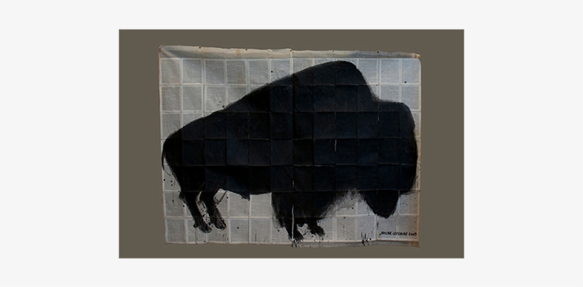 Video Impressions Bison Caravan Brasil - Bison, transparent png download