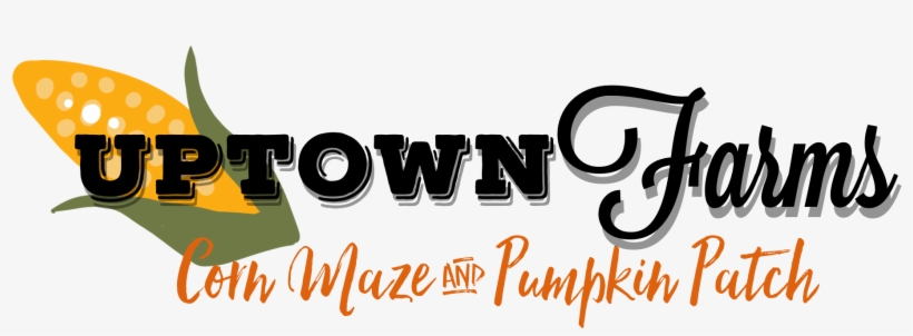 Bee Fashion, transparent png download