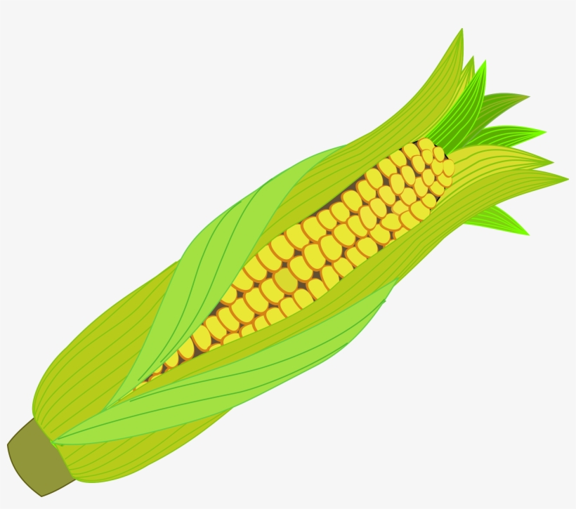 Icon Corn Cob - Corn Illustration Png, transparent png download