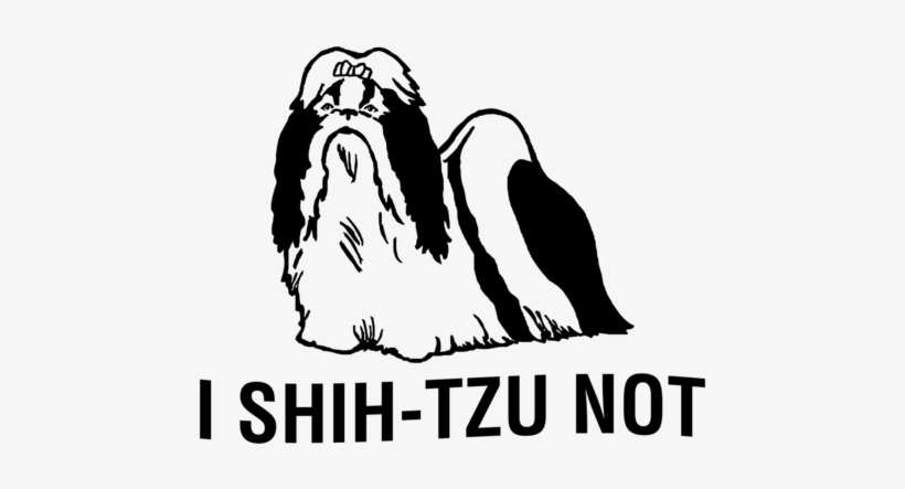 Shih Tzu, transparent png download