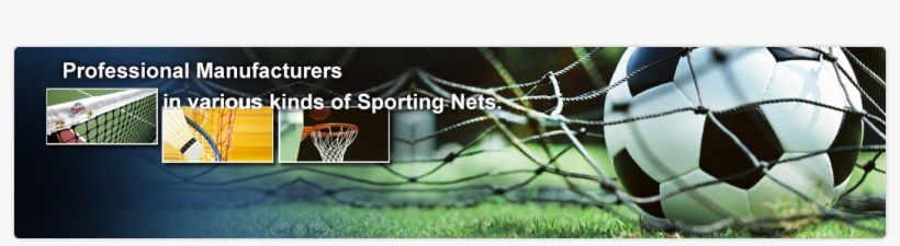 Fan Chiou Net Co - Basketball, transparent png download