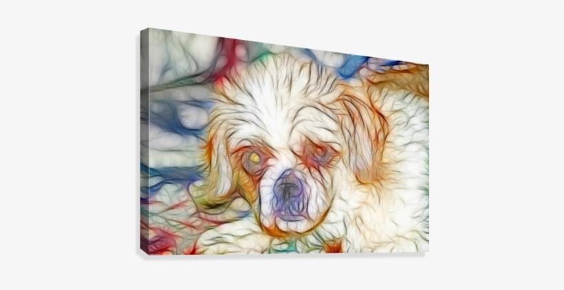 Shih Tzu, transparent png download