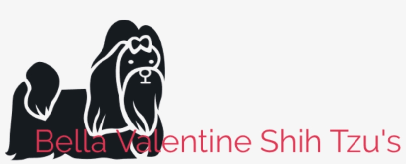 Bella Valentine Shih Tzus - Shih Tzu, transparent png download