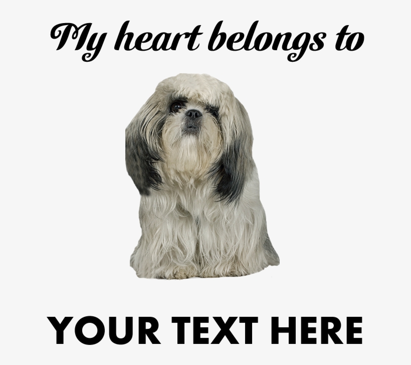 Personalized Shih Tzu Pillow Case - Personalized Shih Tzu Throw Blanket, transparent png download