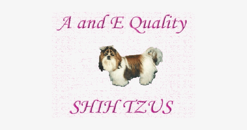 Home, transparent png download