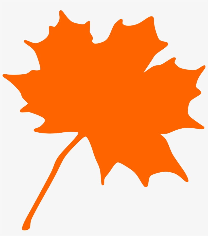 Maple-leaf - Maple Leaf Clipart, transparent png download