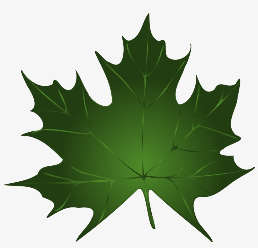 This Free Icons Png Design Of Lapas, Maple Leaf, transparent png download