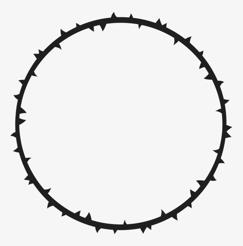 Crown Of Thorns Thorns, Spines, And Prickles Gender - Coroa De Espinhos Png, transparent png download