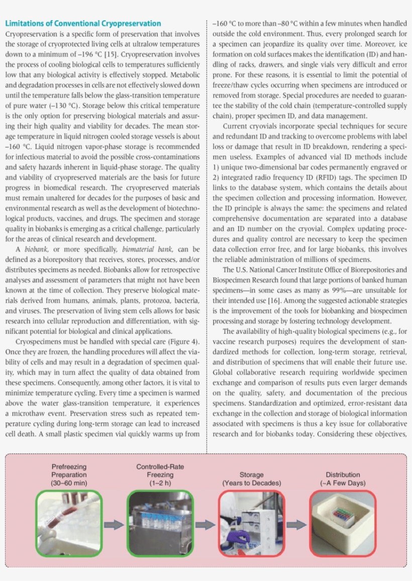 The Specimen Workflow In Cryogenic Biobanks - "seeking An American Art Of The Dance", transparent png download