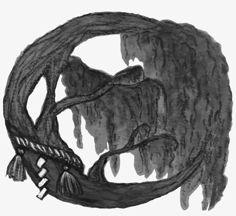 The Willow Web - World Wide Web, transparent png download