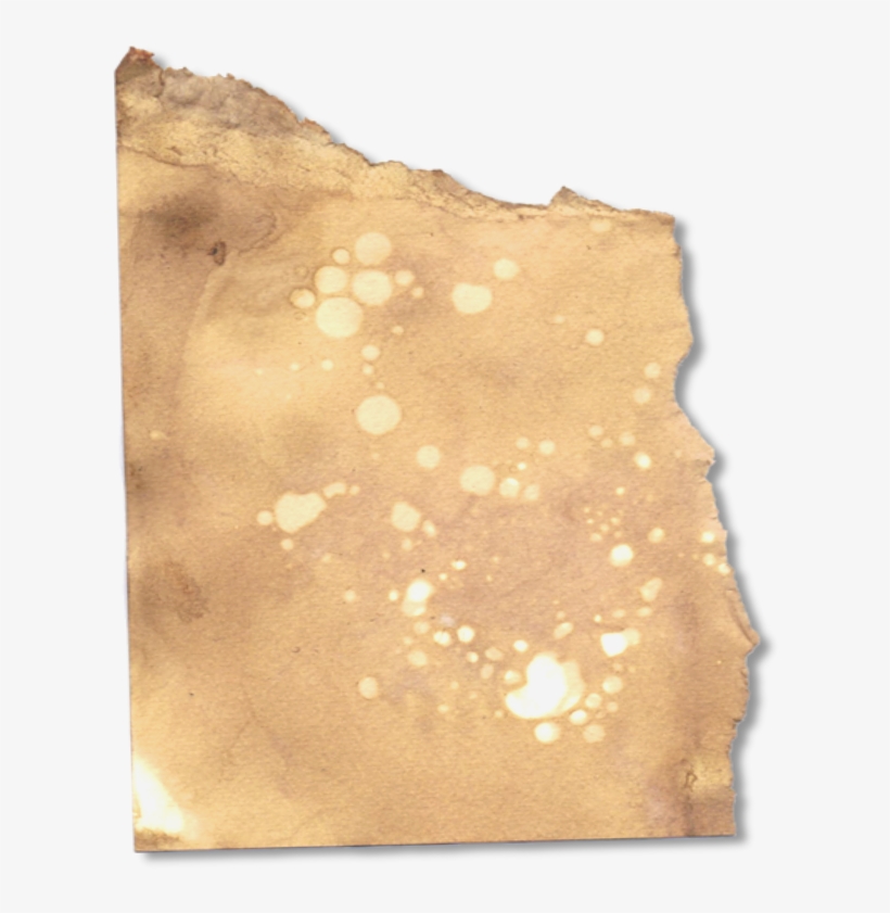 Small But Charming Garden In The Centre Of Thomastown - Leather, transparent png download