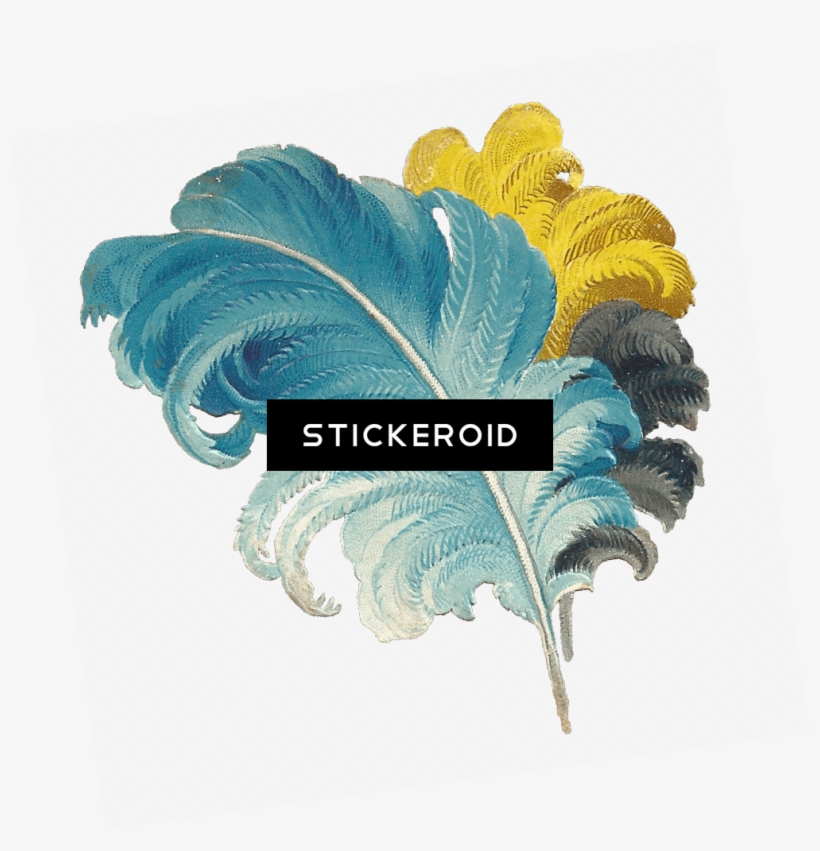 Victorian Feather Drawing Blue Yellow Black - Feather, transparent png download