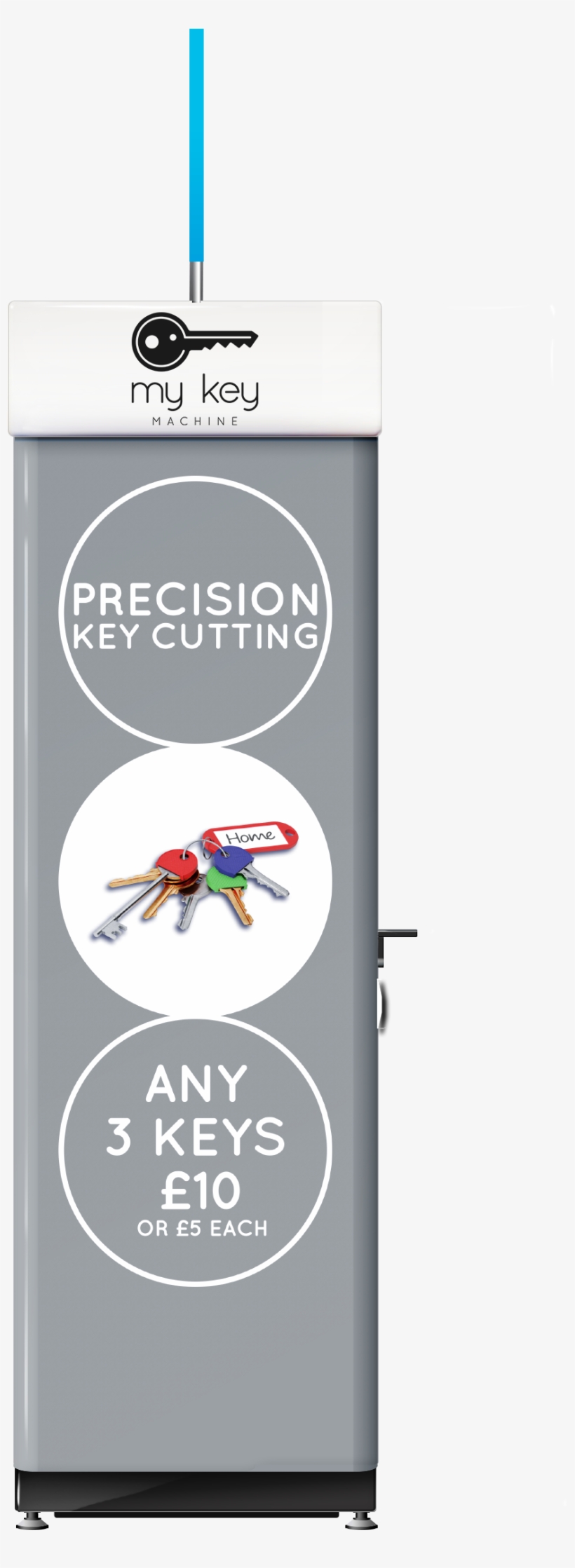 In The Past 10 Years, I Have Not Come Across A More - Mosquito, transparent png download