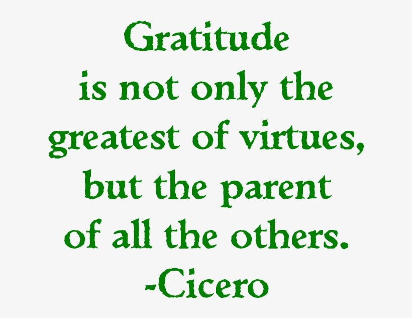 Gratitude Gives Us Perspective - Doodle Happens Magnet, transparent png download