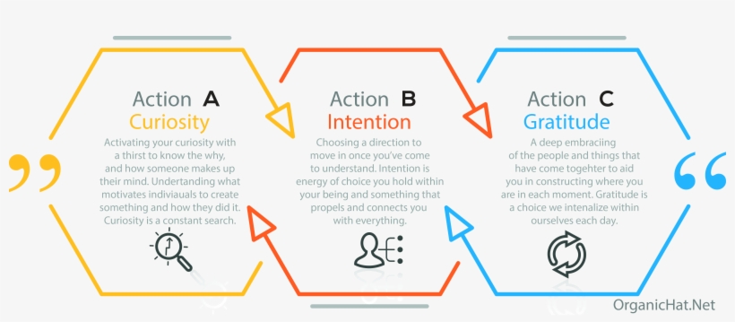 Curiosity Intention Gratitude - Curiosity, transparent png download